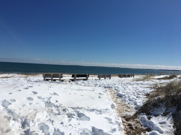 24 Hours in Maine: What We Ate