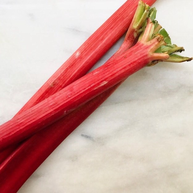 Strawberry Rhubarb Galette