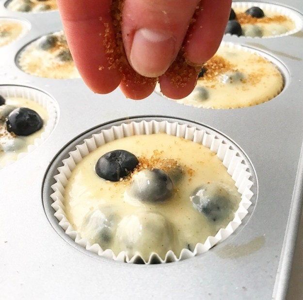 Blueberry Muffins