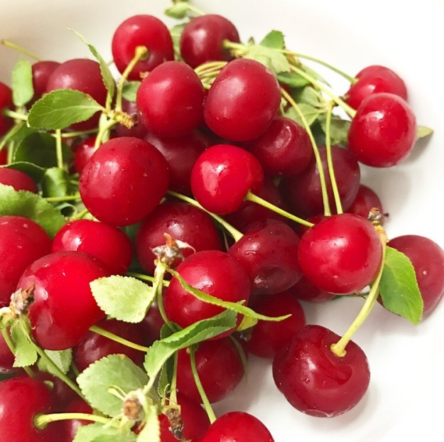 Sour Cherry Sweet Rolls