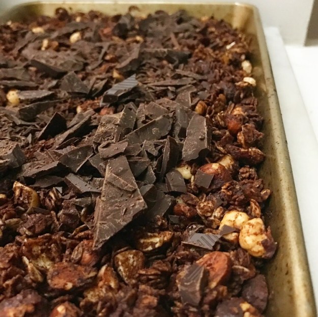Salted Chocolate Hazelnut Granola