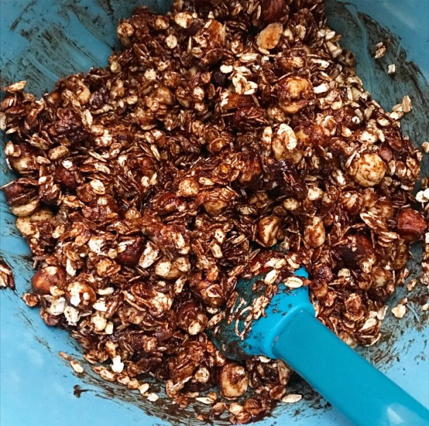 Salted Chocolate Hazelnut Granola