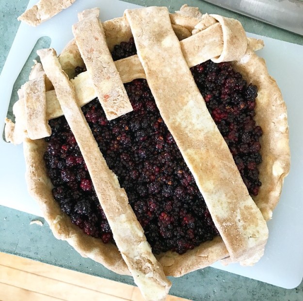 Blackberry Pie
