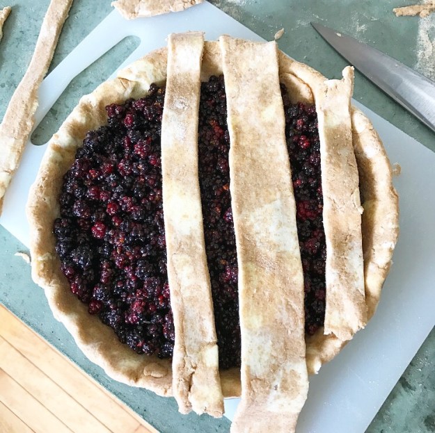 Blackberry Pie