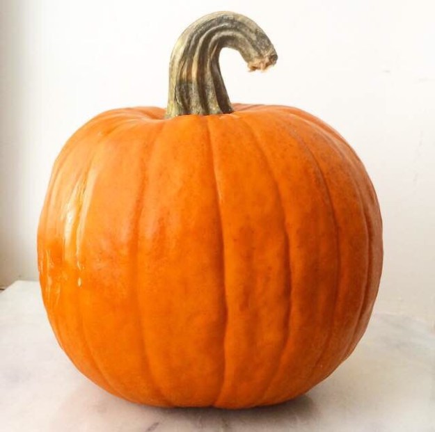 Friday Favorites: Pumpkin Edition