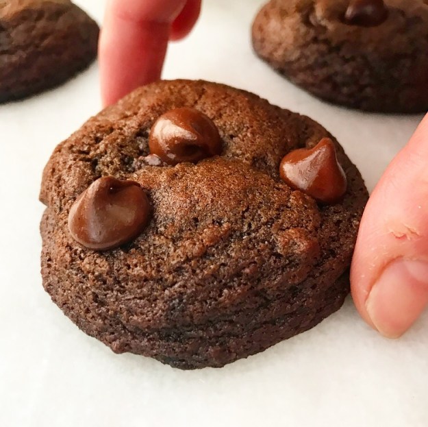 Double Chocolate Cookies