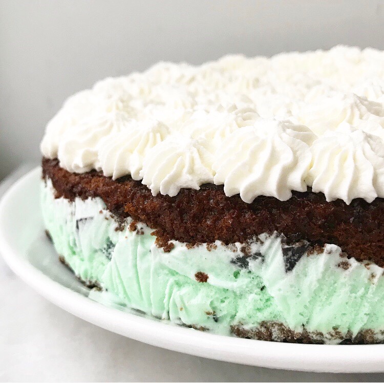Mint Chocolate Chip Ice Cream Cake