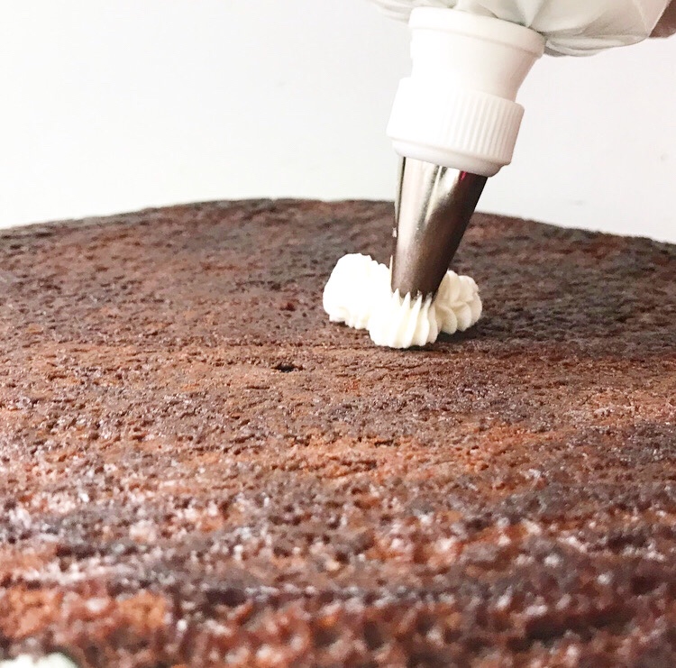 Mint Chocolate Chip Ice Cream Cake