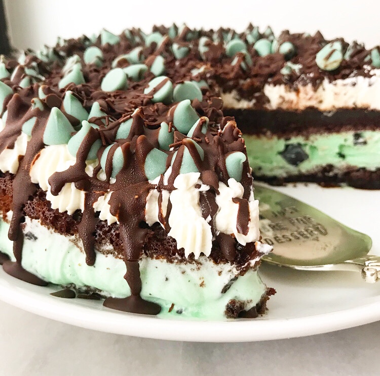 Mint Chocolate Chip Ice Cream Cake