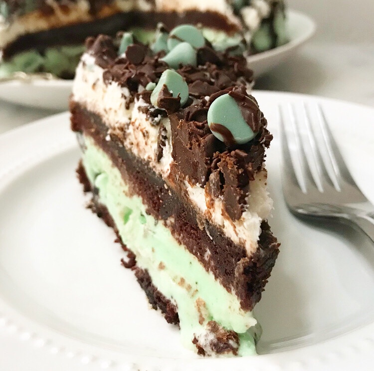 Mint Chocolate Chip Ice Cream Cake