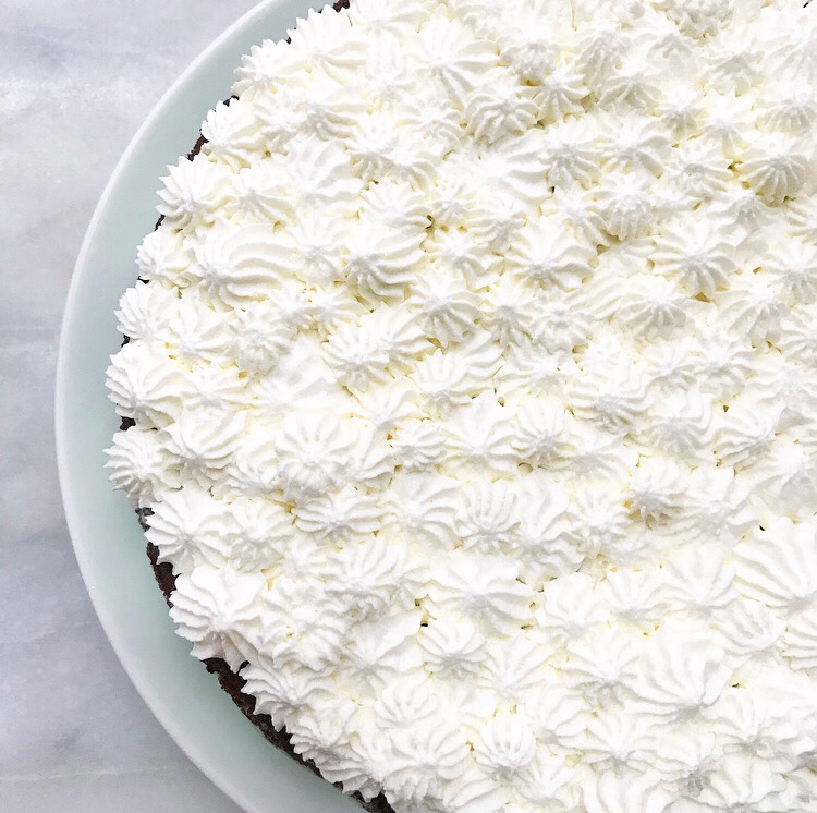 Mint Chocolate Chip Ice Cream Cake