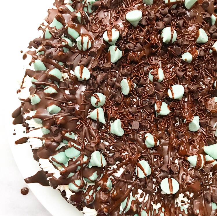 Mint Chocolate Chip Ice Cream Cake