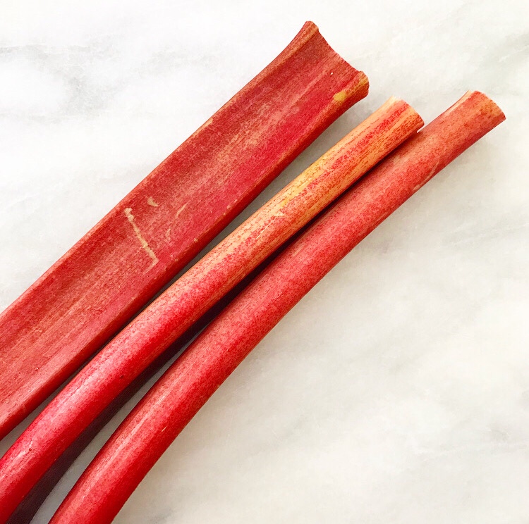 Sweet Cherry Rhubarb Galette