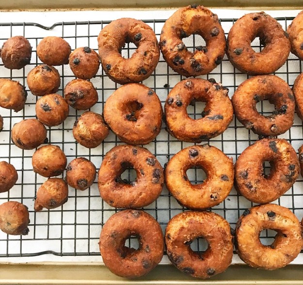 Blueberry Doughnuts