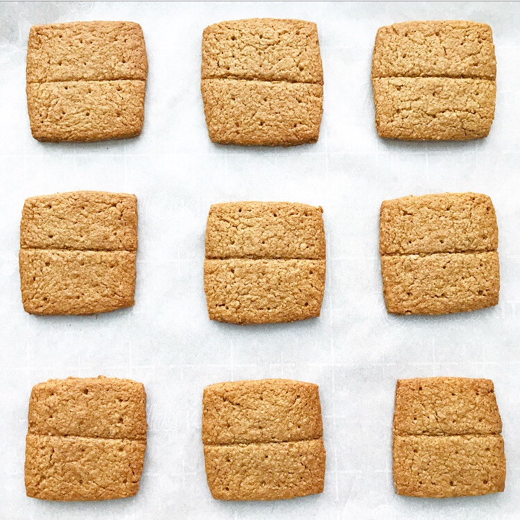 Toasted Oat Graham Crackers {Vegan & Gluten-Free}