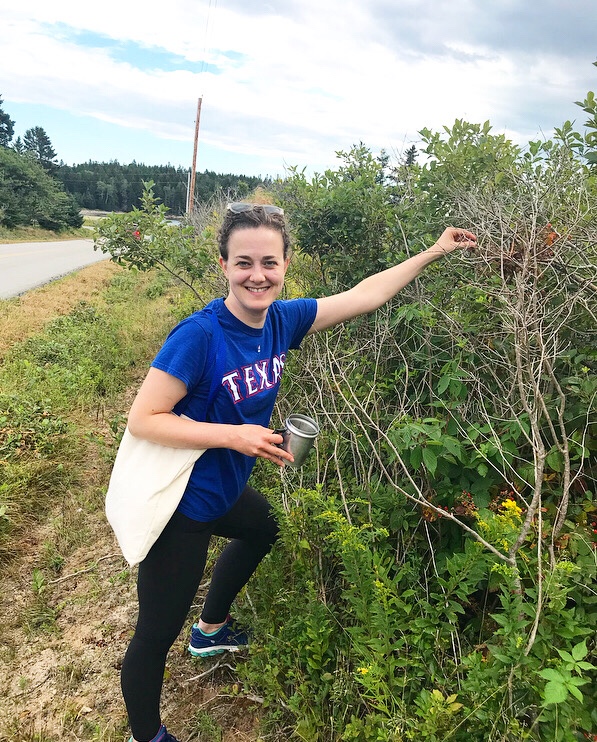 Blackberry Shortbread Wedges