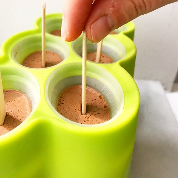 Five Ingredient Fudgsicles