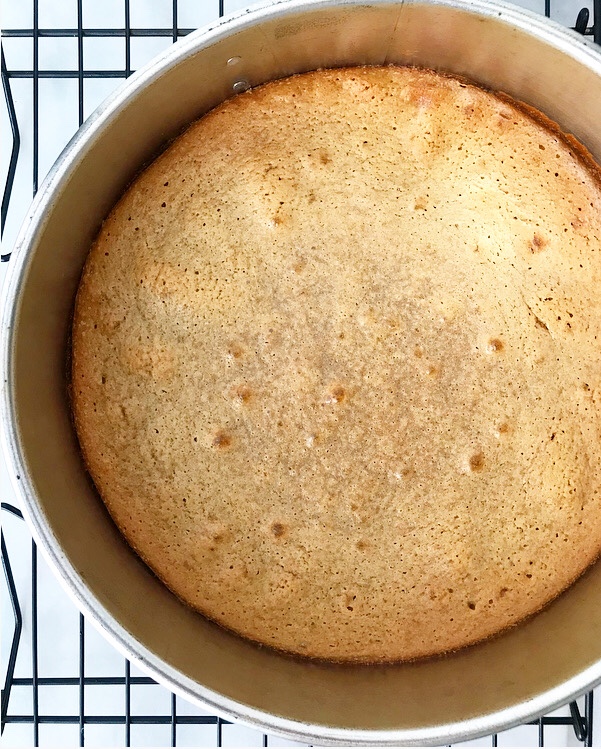 Peanut Butter Mousse Cake