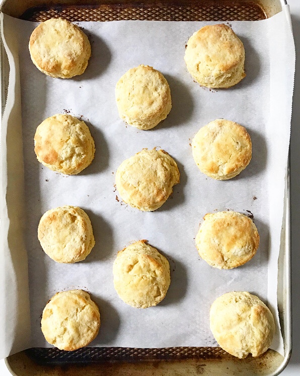 Cornmeal Biscuits
