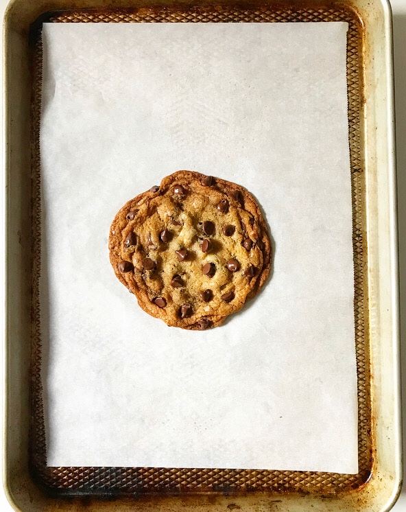 One Big Chocolate Chip Cookie