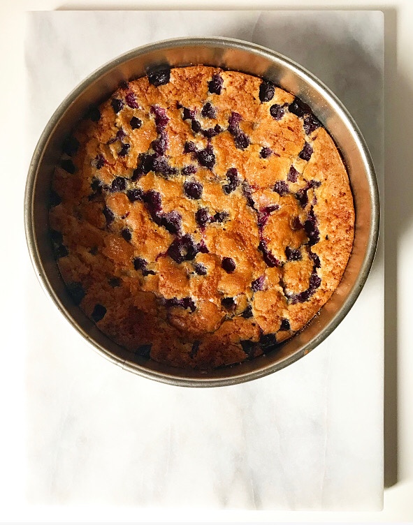 Blueberry Torte