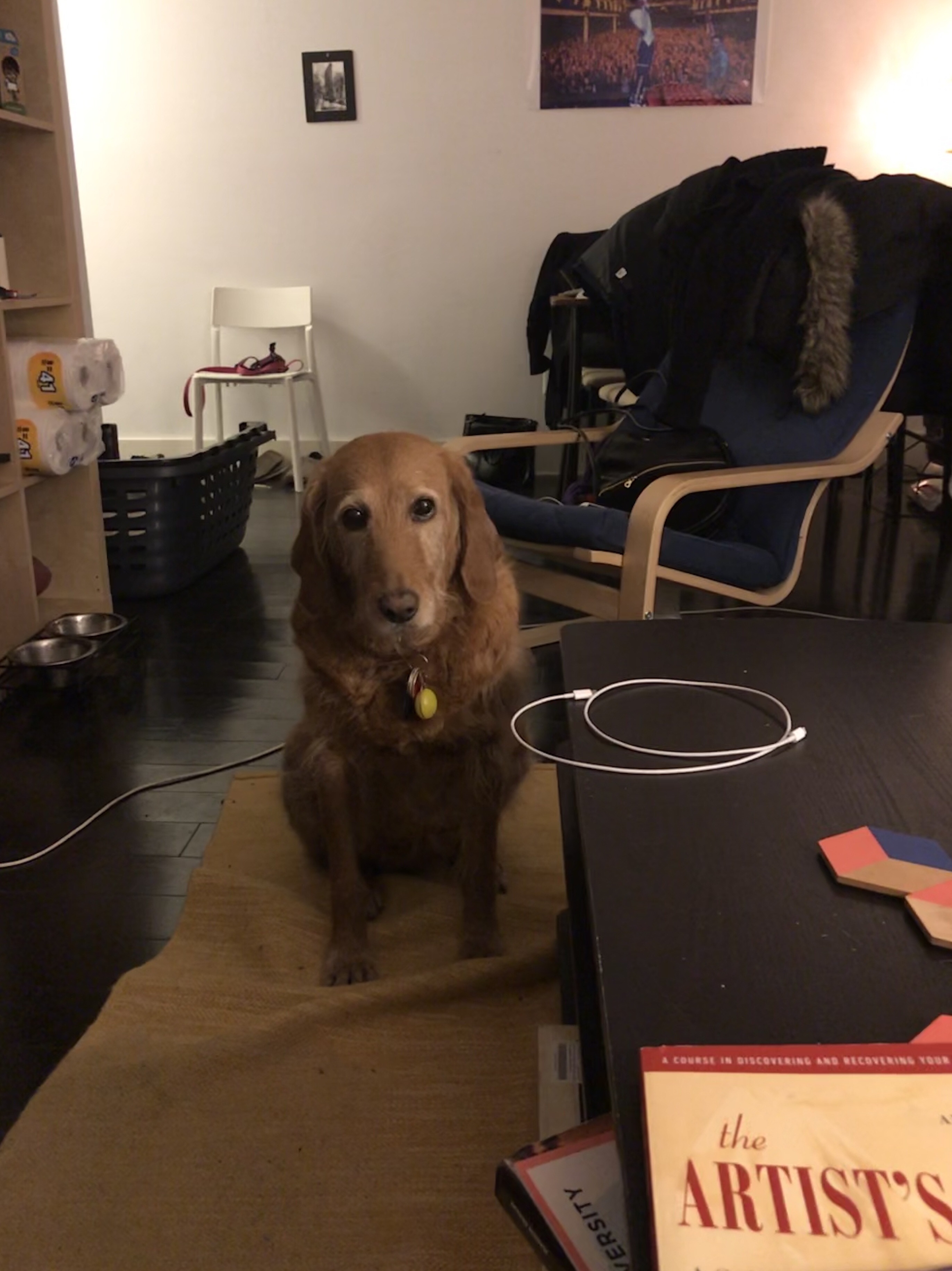 Baking & Blogging The Artist’s Way