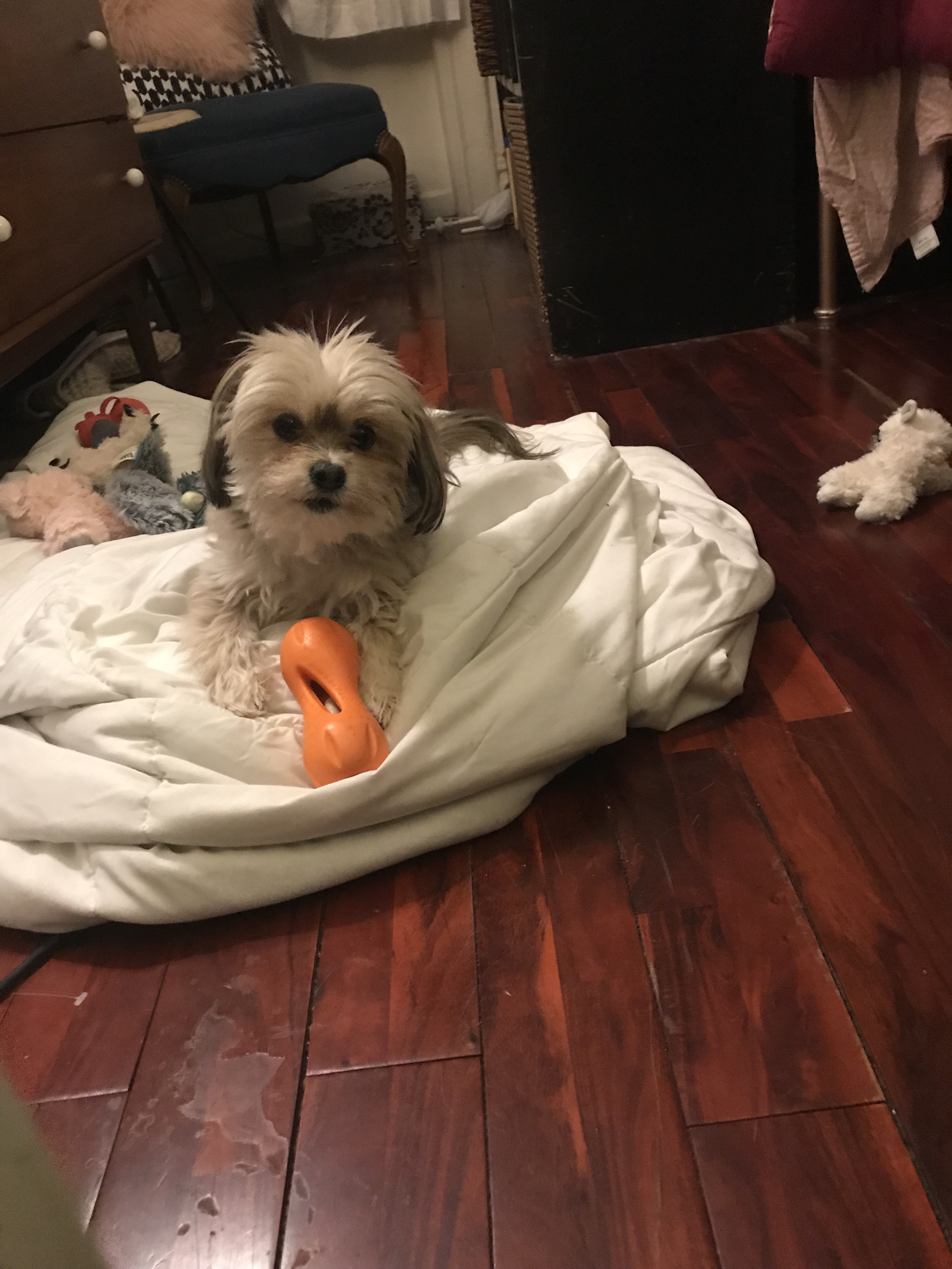 Baking & Blogging The Artist’s Way