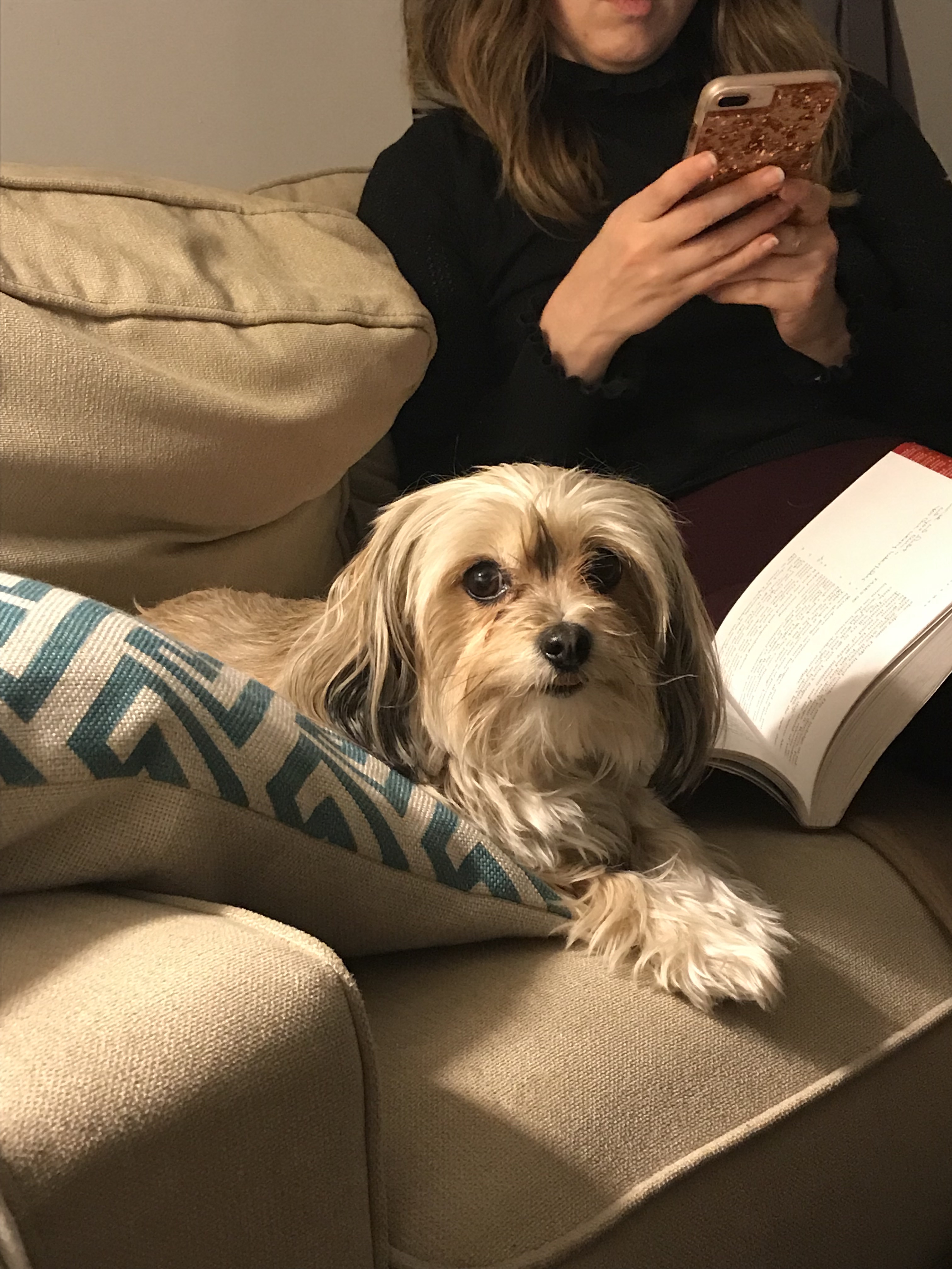 Baking & Blogging The Artist’s Way