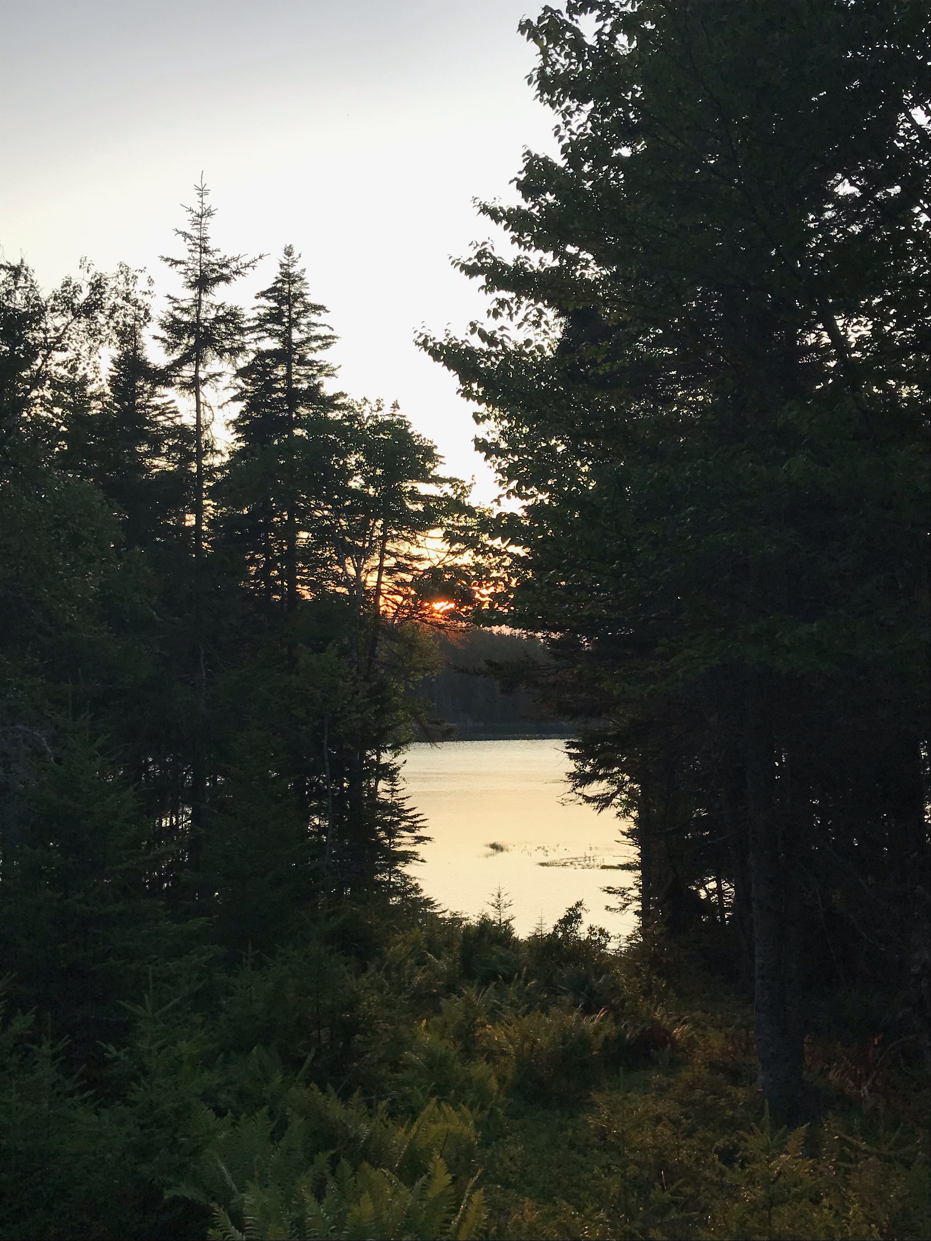 Peachy Keen Granola {Vegan & Gluten-Free}