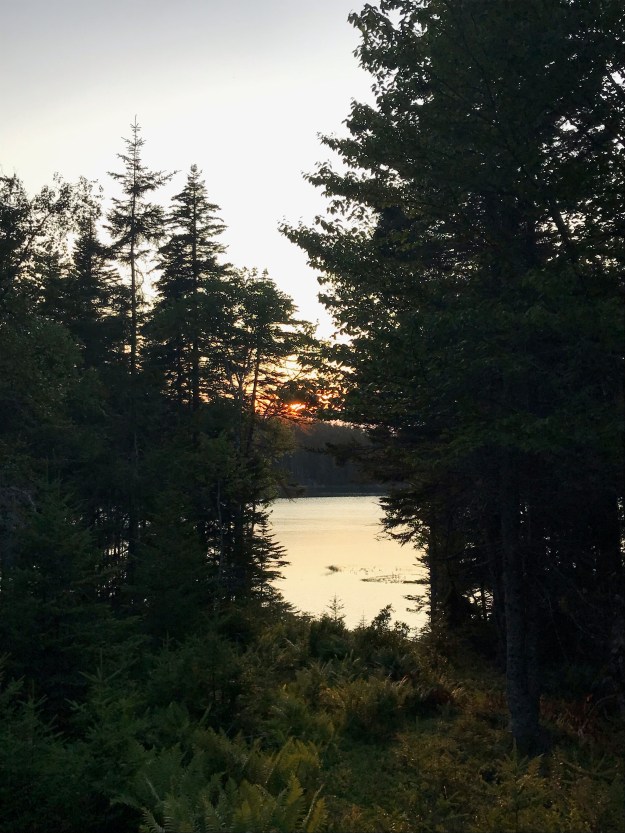 Peachy Keen Granola {Vegan & Gluten-Free}