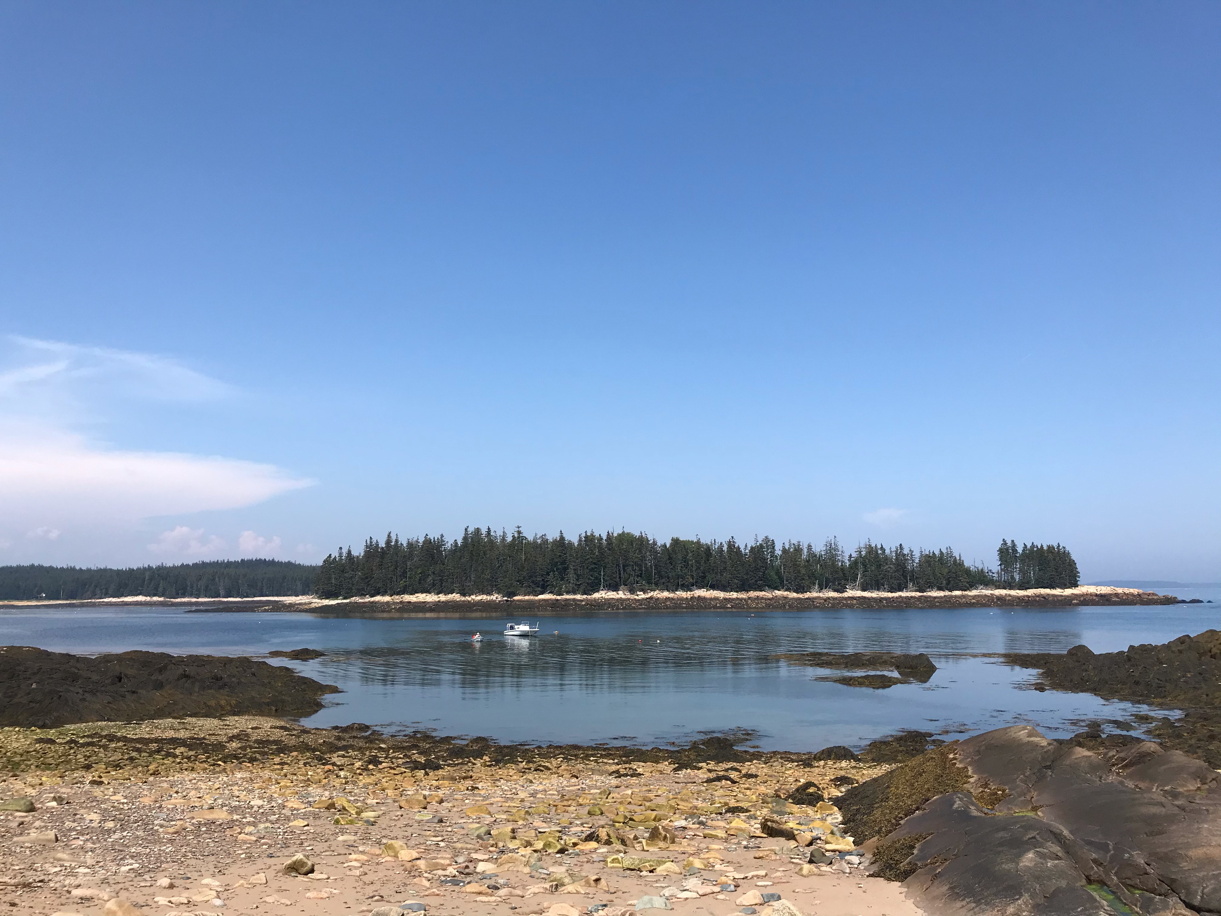 Peachy Keen Granola {Vegan & Gluten-Free}