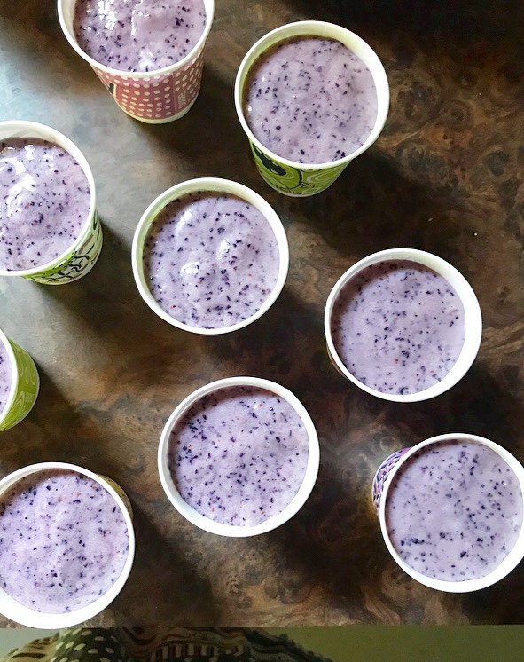 Blueberry Popsicles
