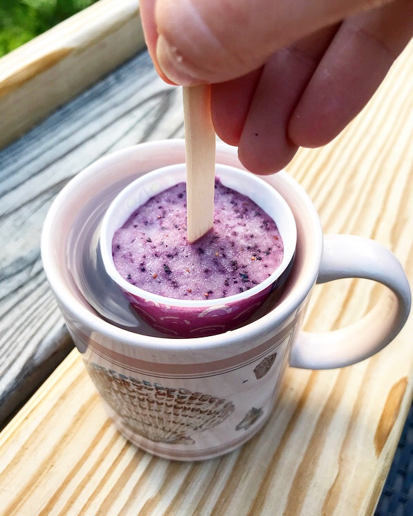 Blueberry Popsicles