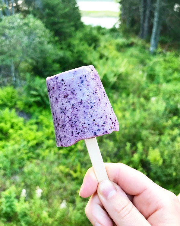 Blueberry Popsicles