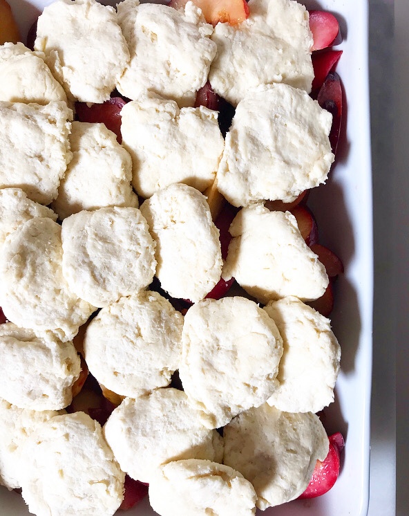 Plum Cobbler