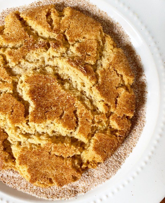 One Big Snickerdoodle