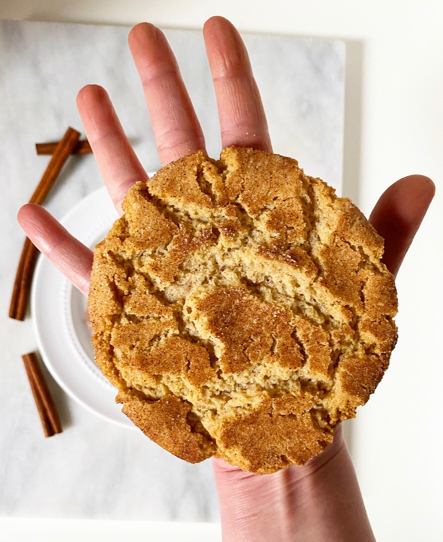 One Big Snickerdoodle 