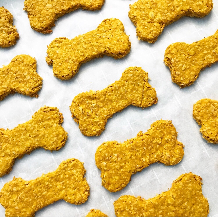 Friday Favorites: Pumpkin