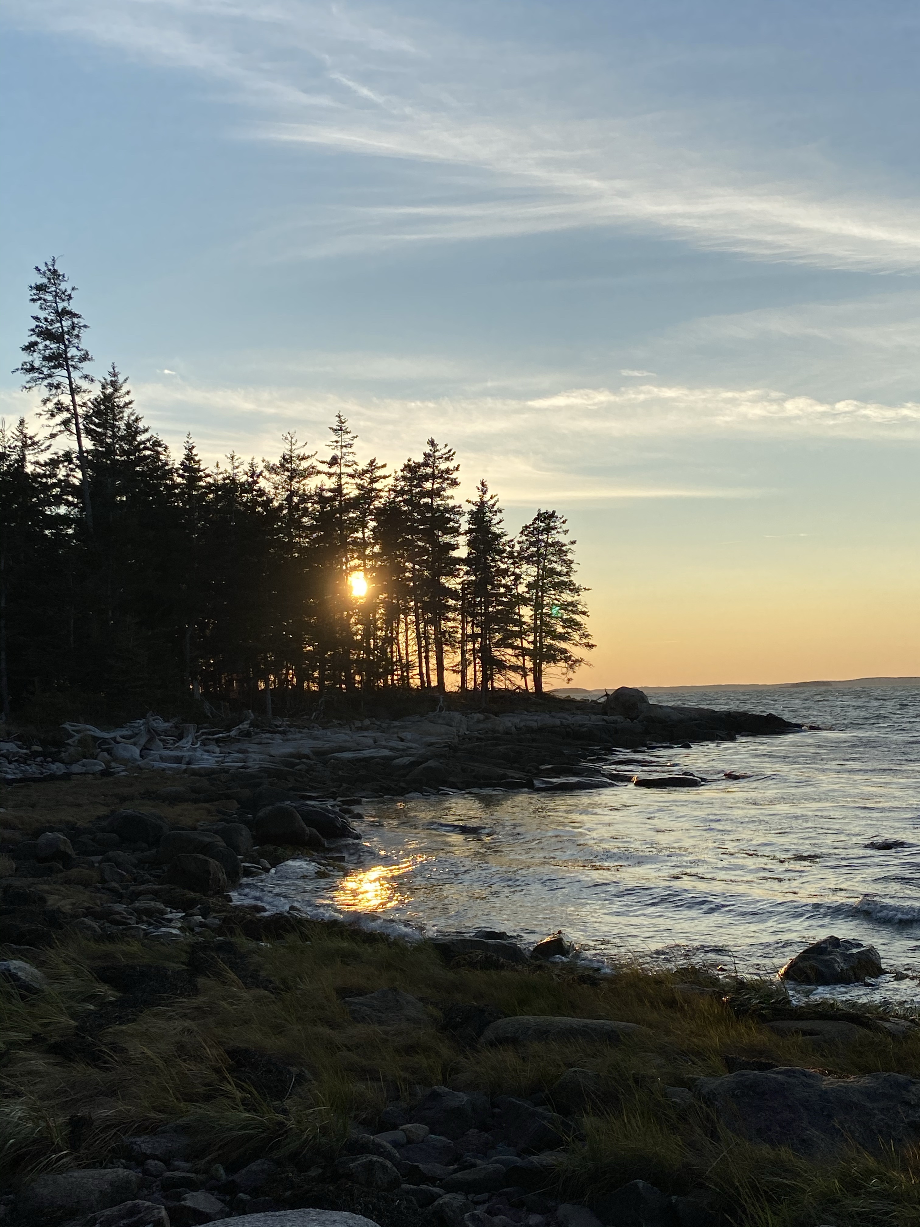 Pumpkin Sheet Cake with Maple Frosting {Vegan & Gluten-Free}