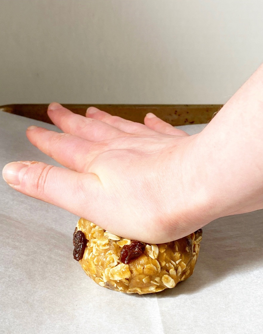 One Big Oatmeal Cookie