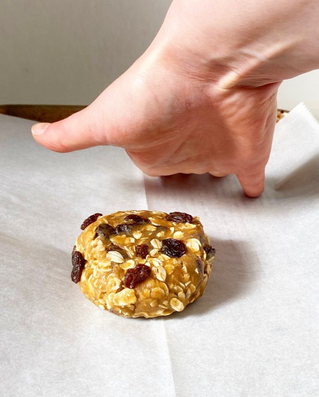 One Big Oatmeal Cookie