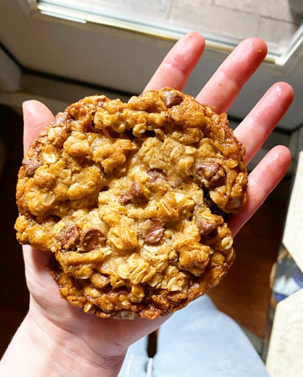 One Big Oatmeal Cookie