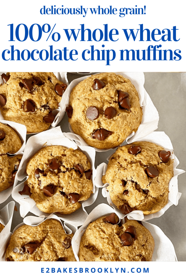 Whole Wheat Chocolate Chip Muffins