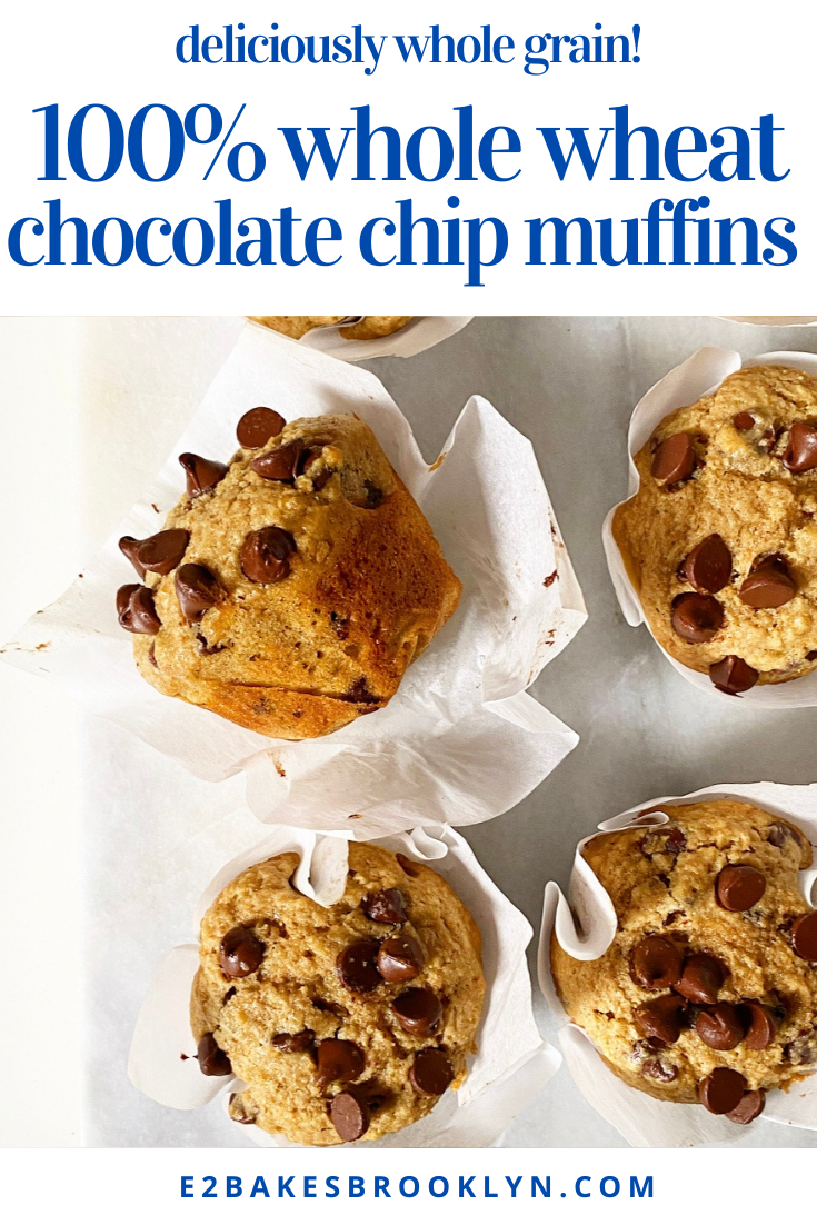 Whole Wheat Chocolate Chip Muffins