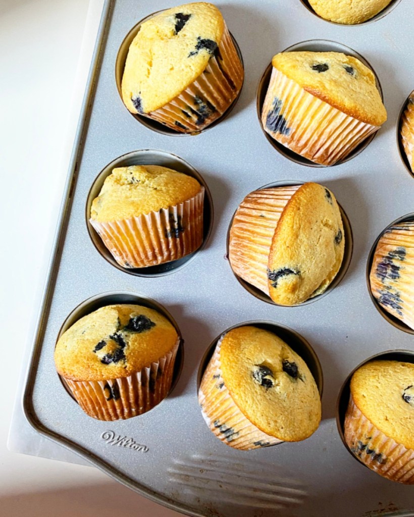Blueberry Corn Muffins