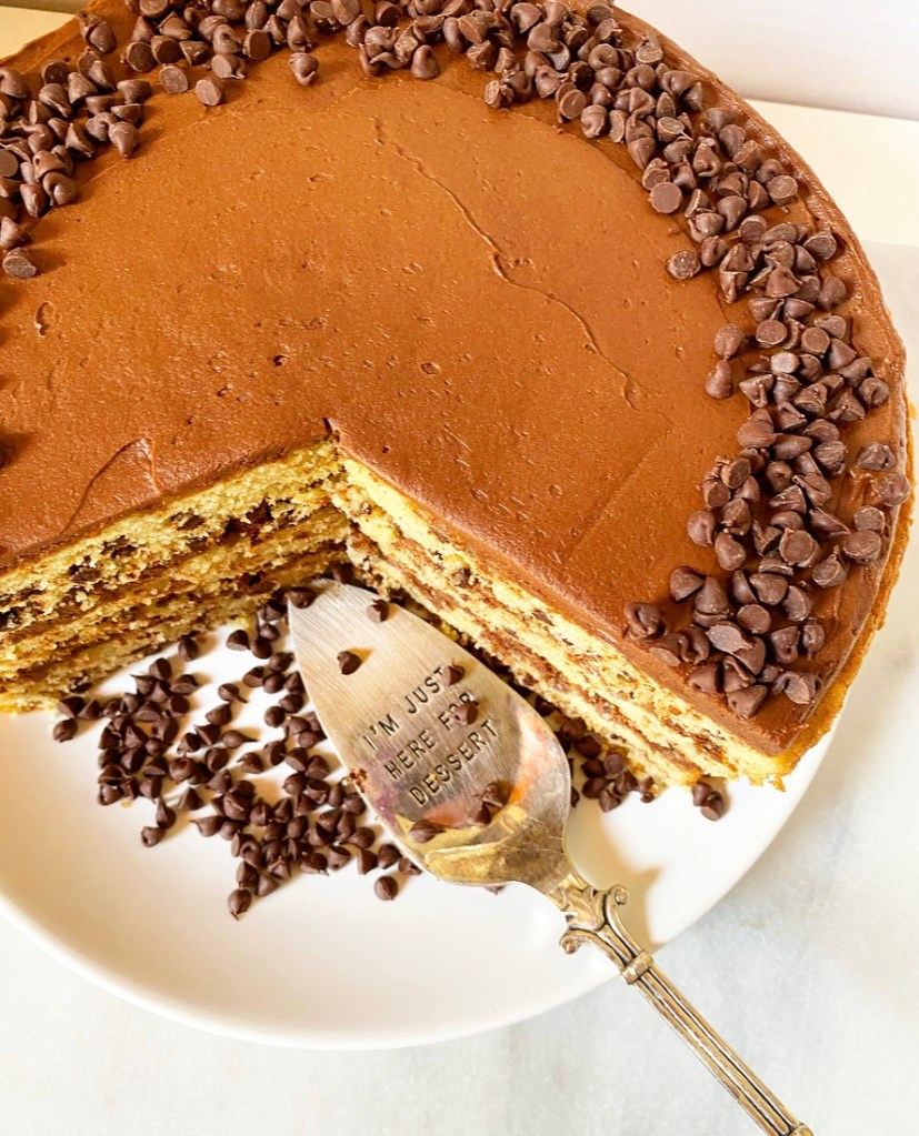 Chocolate Chip Cake