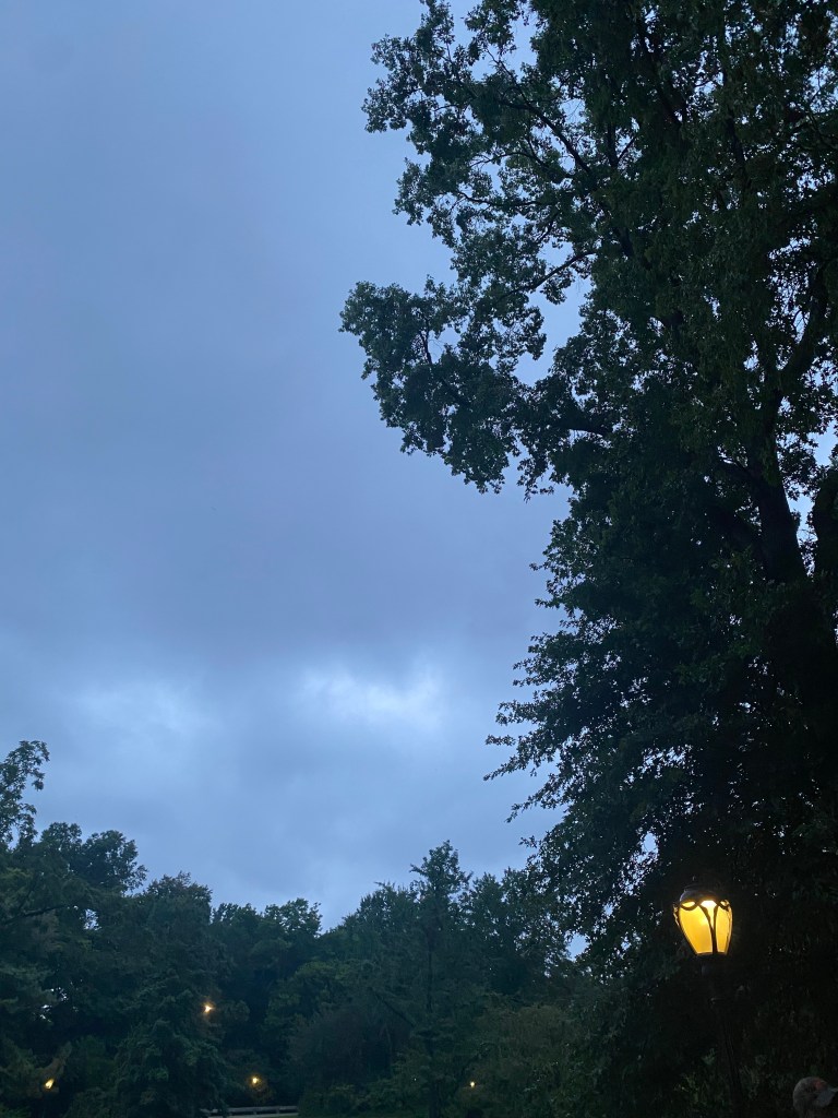 Blueberry Ginger Ales